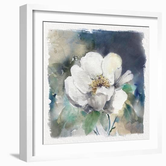 White Washed Peony-Carol Robinson-Framed Art Print