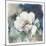 White Washed Peony-Carol Robinson-Mounted Art Print