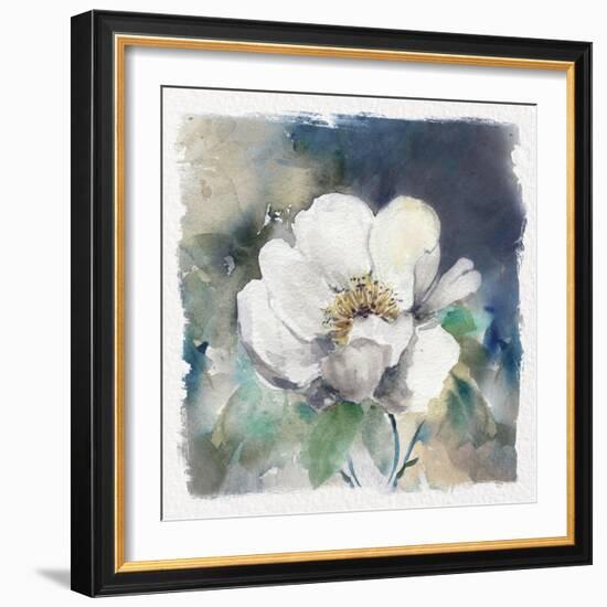 White Washed Peony-Carol Robinson-Framed Art Print