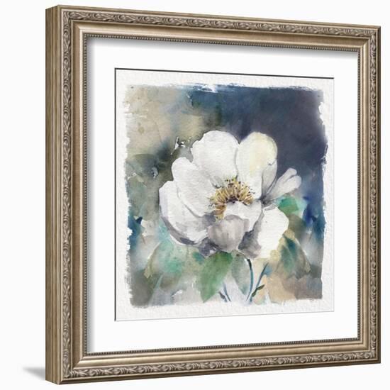 White Washed Peony-Carol Robinson-Framed Art Print