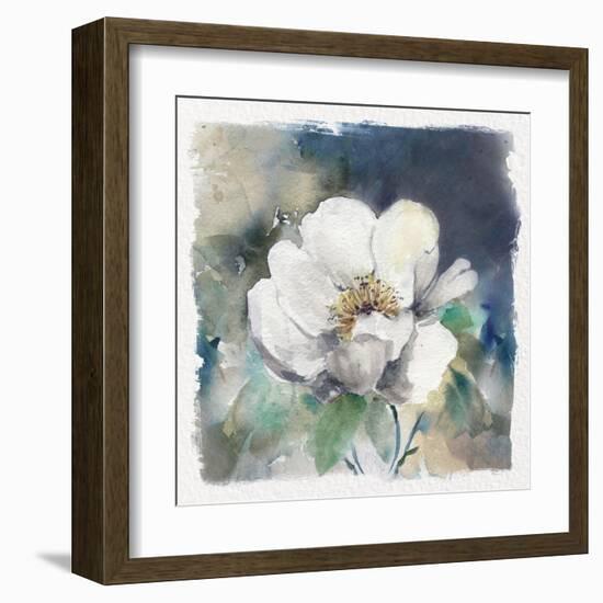 White Washed Peony-Carol Robinson-Framed Art Print