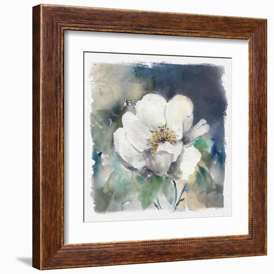 White Washed Peony-Carol Robinson-Framed Art Print