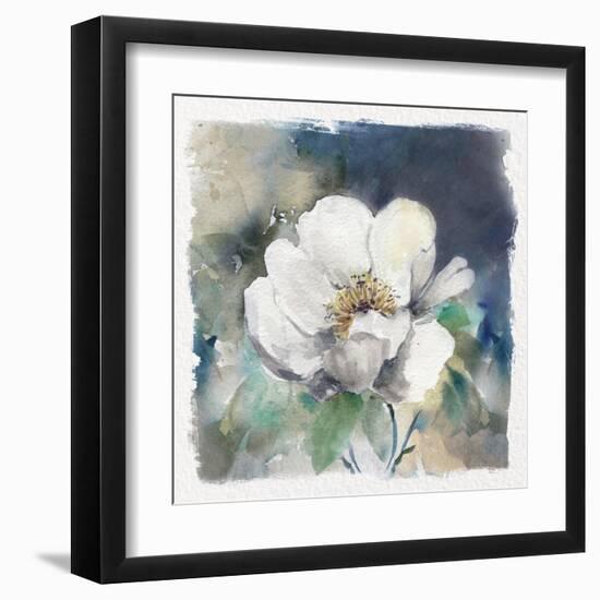 White Washed Peony-Carol Robinson-Framed Art Print