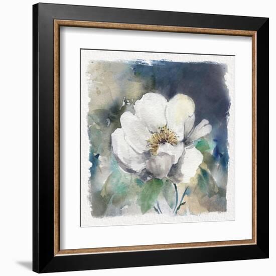 White Washed Peony-Carol Robinson-Framed Art Print