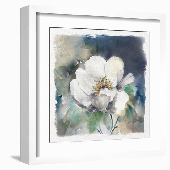 White Washed Peony-Carol Robinson-Framed Art Print