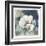 White Washed Peony-Carol Robinson-Framed Art Print