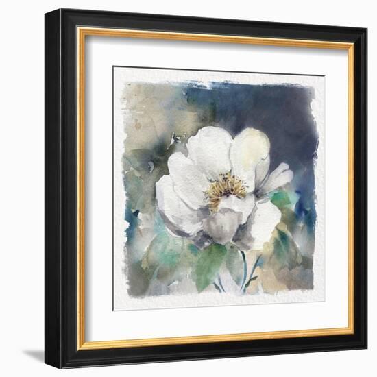 White Washed Peony-Carol Robinson-Framed Art Print