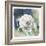 White Washed Rose-Carol Robinson-Framed Art Print