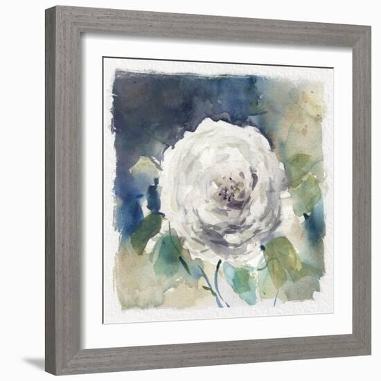 White Washed Rose-Carol Robinson-Framed Art Print