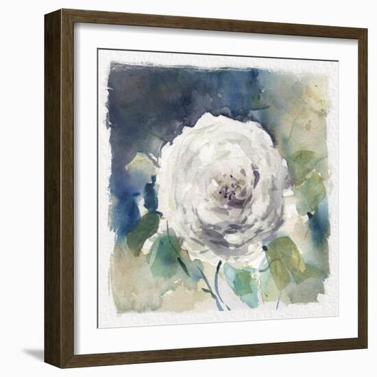 White Washed Rose-Carol Robinson-Framed Art Print