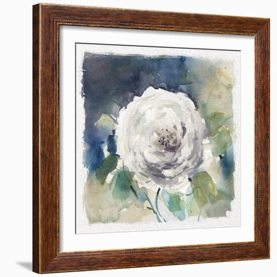 White Washed Rose-Carol Robinson-Framed Art Print