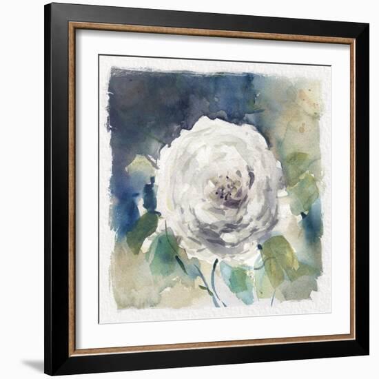 White Washed Rose-Carol Robinson-Framed Art Print