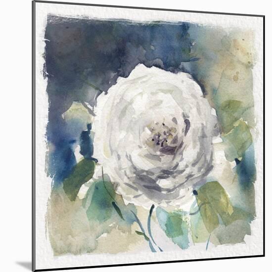 White Washed Rose-Carol Robinson-Mounted Art Print