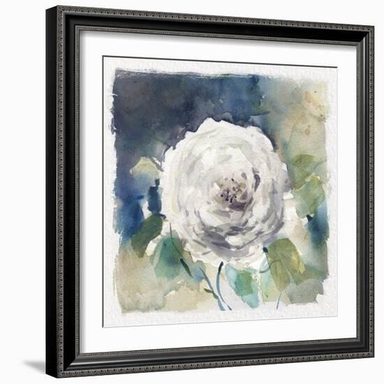 White Washed Rose-Carol Robinson-Framed Art Print