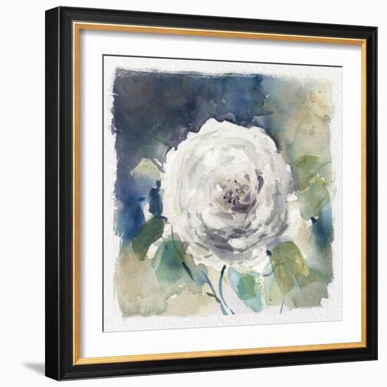 White Washed Rose-Carol Robinson-Framed Art Print