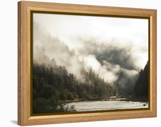 White Water Rafting Along the Wild and Scenic Rogue River in Southern Oregon.-Justin Bailie-Framed Premier Image Canvas