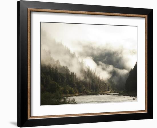 White Water Rafting Along the Wild and Scenic Rogue River in Southern Oregon.-Justin Bailie-Framed Photographic Print