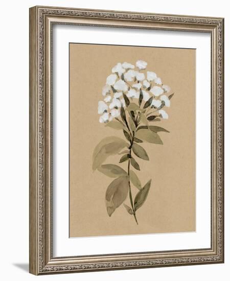 White Wildflower I-Annie Warren-Framed Art Print