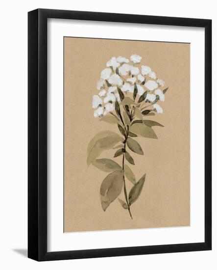 White Wildflower I-Annie Warren-Framed Art Print