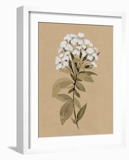 White Wildflower I-Annie Warren-Framed Art Print