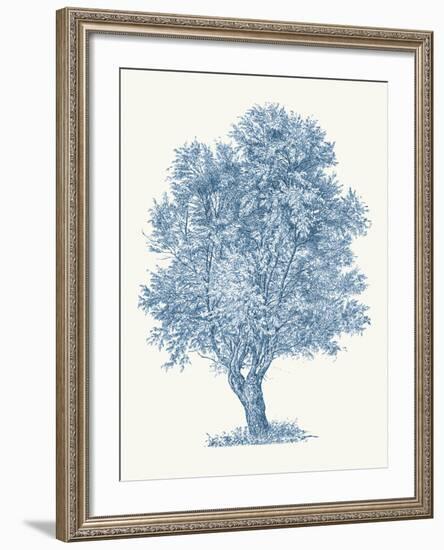 White Willow-Maria Mendez-Framed Giclee Print