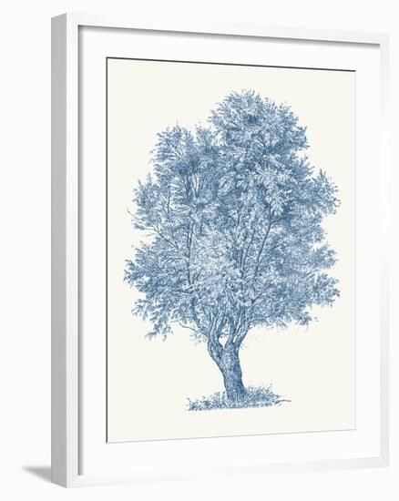 White Willow-Maria Mendez-Framed Giclee Print