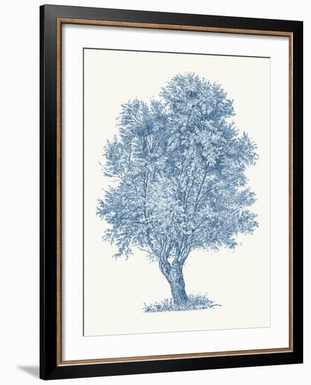 White Willow-Maria Mendez-Framed Giclee Print