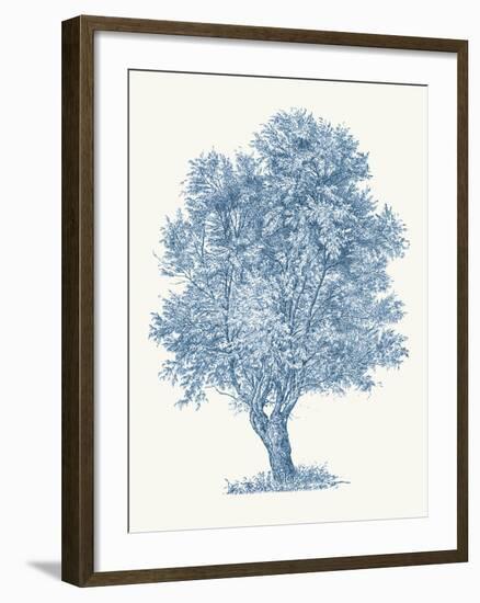 White Willow-Maria Mendez-Framed Giclee Print