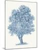 White Willow-Maria Mendez-Mounted Giclee Print