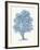 White Willow-Maria Mendez-Framed Giclee Print