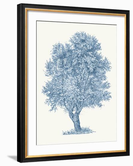 White Willow-Maria Mendez-Framed Giclee Print