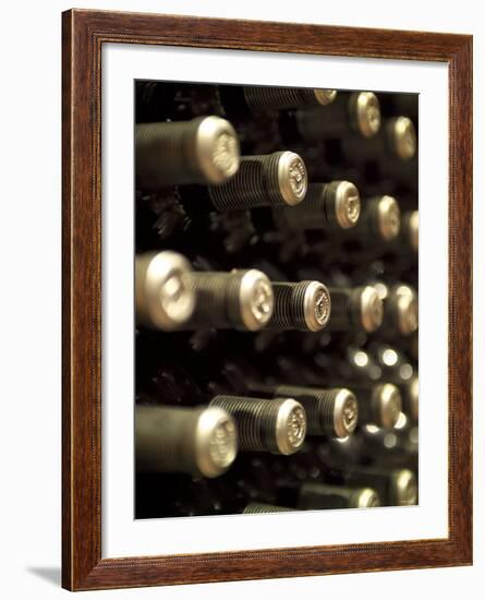 White Wine Bottles Maturing in a Cellar-Steven Morris-Framed Photographic Print