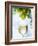 White Wine Dripping from Grapes into a Wine Glass-Paul Williams-Framed Photographic Print