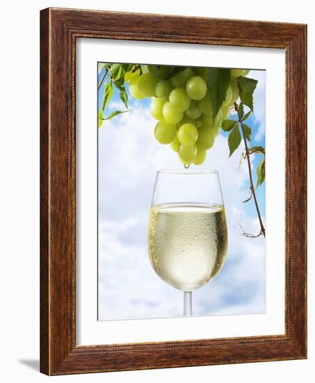 White Wine Dripping from Grapes into a Wine Glass-Paul Williams-Framed Photographic Print