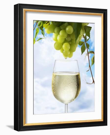 White Wine Dripping from Grapes into a Wine Glass-Paul Williams-Framed Photographic Print