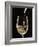 White Wine Pouring from Bottle into Glass-John Hay-Framed Photographic Print