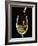 White Wine Pouring from Bottle into Glass-John Hay-Framed Photographic Print