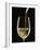 White Wine Pouring from Bottle into Glass-John Hay-Framed Photographic Print