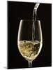 White Wine Pouring from Bottle into Glass-John Hay-Mounted Photographic Print