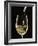 White Wine Pouring from Bottle into Glass-John Hay-Framed Photographic Print