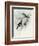 White-Winged Crossbill (Loxia Leucoptera)-John Gould-Framed Giclee Print