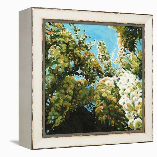 White Wisteria, 2012, (Oil on Canvas)-Helen White-Framed Premier Image Canvas