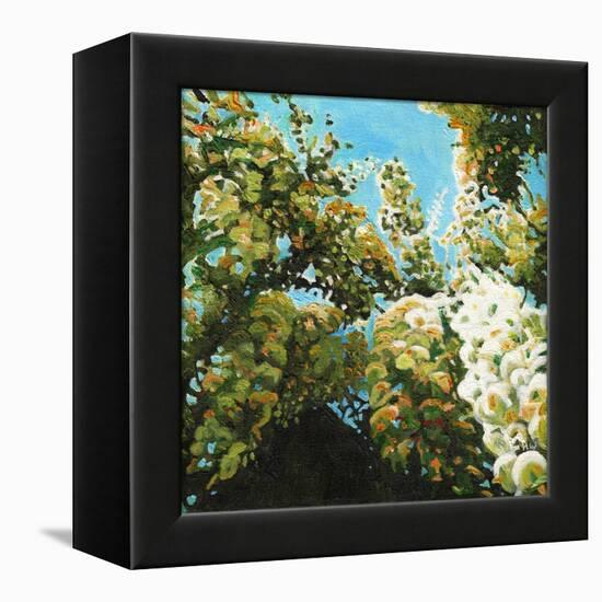 White Wisteria, 2012, (Oil on Canvas)-Helen White-Framed Premier Image Canvas