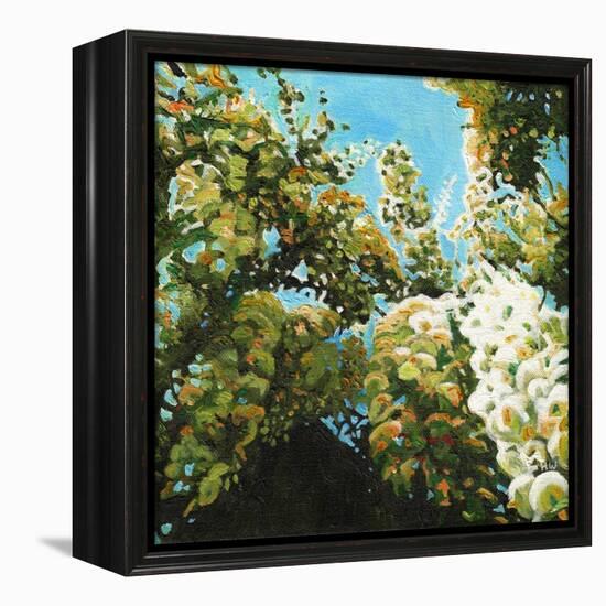 White Wisteria, 2012, (Oil on Canvas)-Helen White-Framed Premier Image Canvas