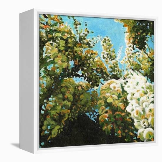 White Wisteria, 2012, (Oil on Canvas)-Helen White-Framed Premier Image Canvas