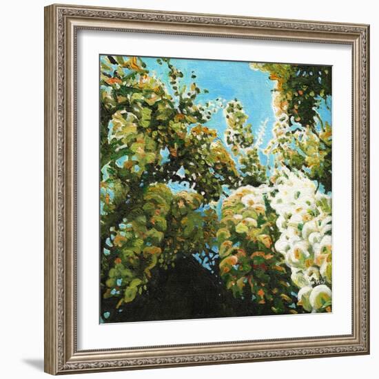 White Wisteria, 2012, (Oil on Canvas)-Helen White-Framed Giclee Print