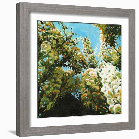 White Wisteria, 2012, (Oil on Canvas)-Helen White-Framed Giclee Print