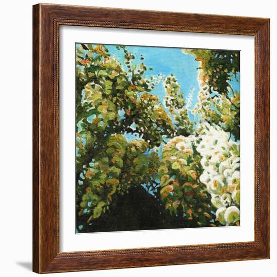 White Wisteria, 2012, (Oil on Canvas)-Helen White-Framed Giclee Print