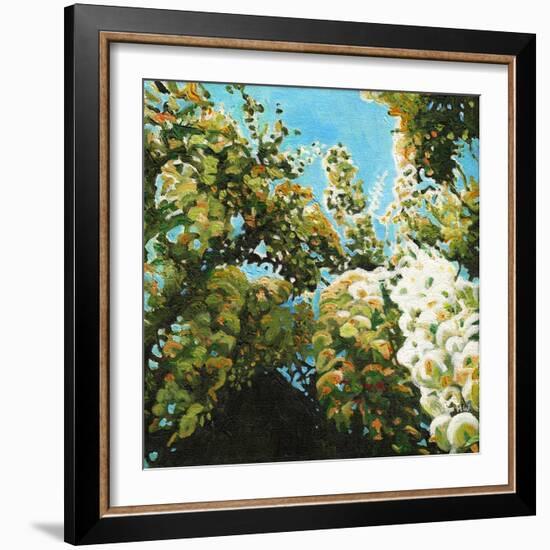 White Wisteria, 2012, (Oil on Canvas)-Helen White-Framed Giclee Print