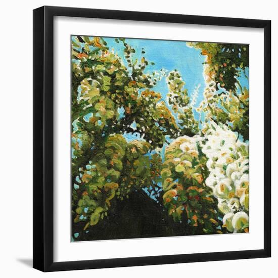 White Wisteria, 2012, (Oil on Canvas)-Helen White-Framed Giclee Print